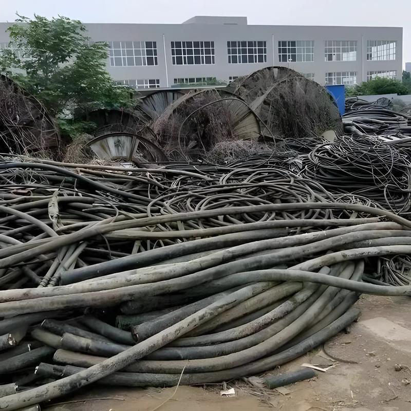 废旧物品回收行业的绿色转型